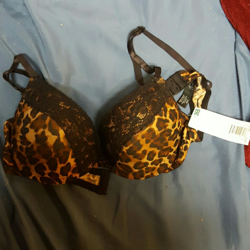 36b bra