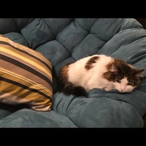 Meet your Posher, Hanna