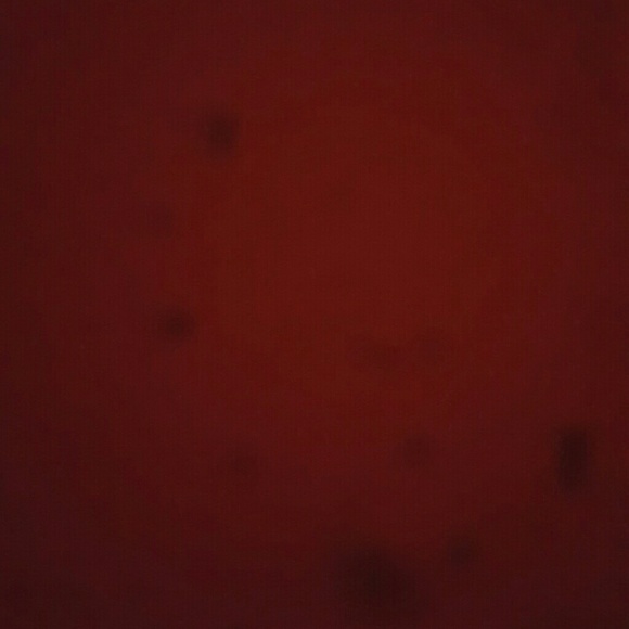 Meet your Posher, Mathew - Picture 1 of 1