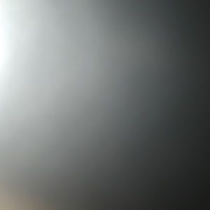 Meet your Posher, Abbie