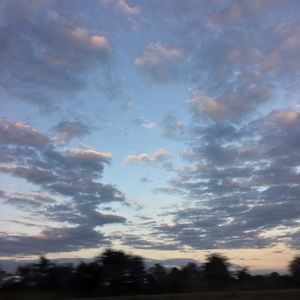 Meet your Posher, Marilyn