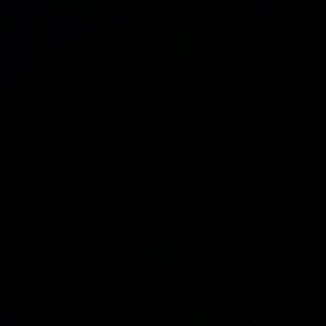 Meet your Posher, Lilly