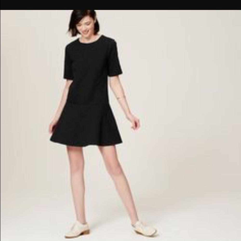 NWT loft XXS quilted drop waist dress