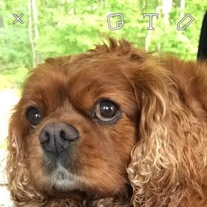 Meet your Posher, Logan