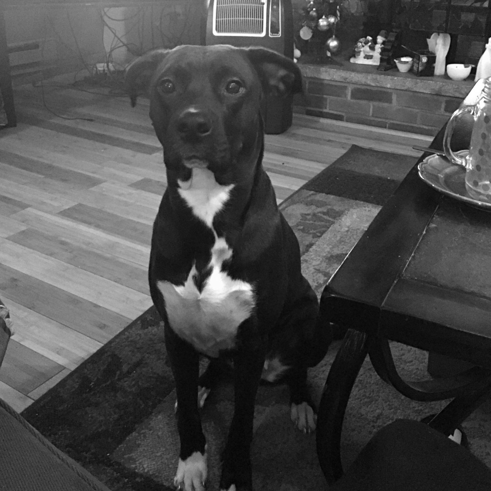 My beautiful Nina bug