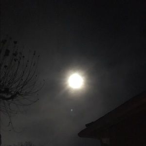 Meet your Posher, Lillian