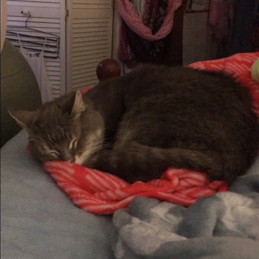 Meet your Posher, Jessica