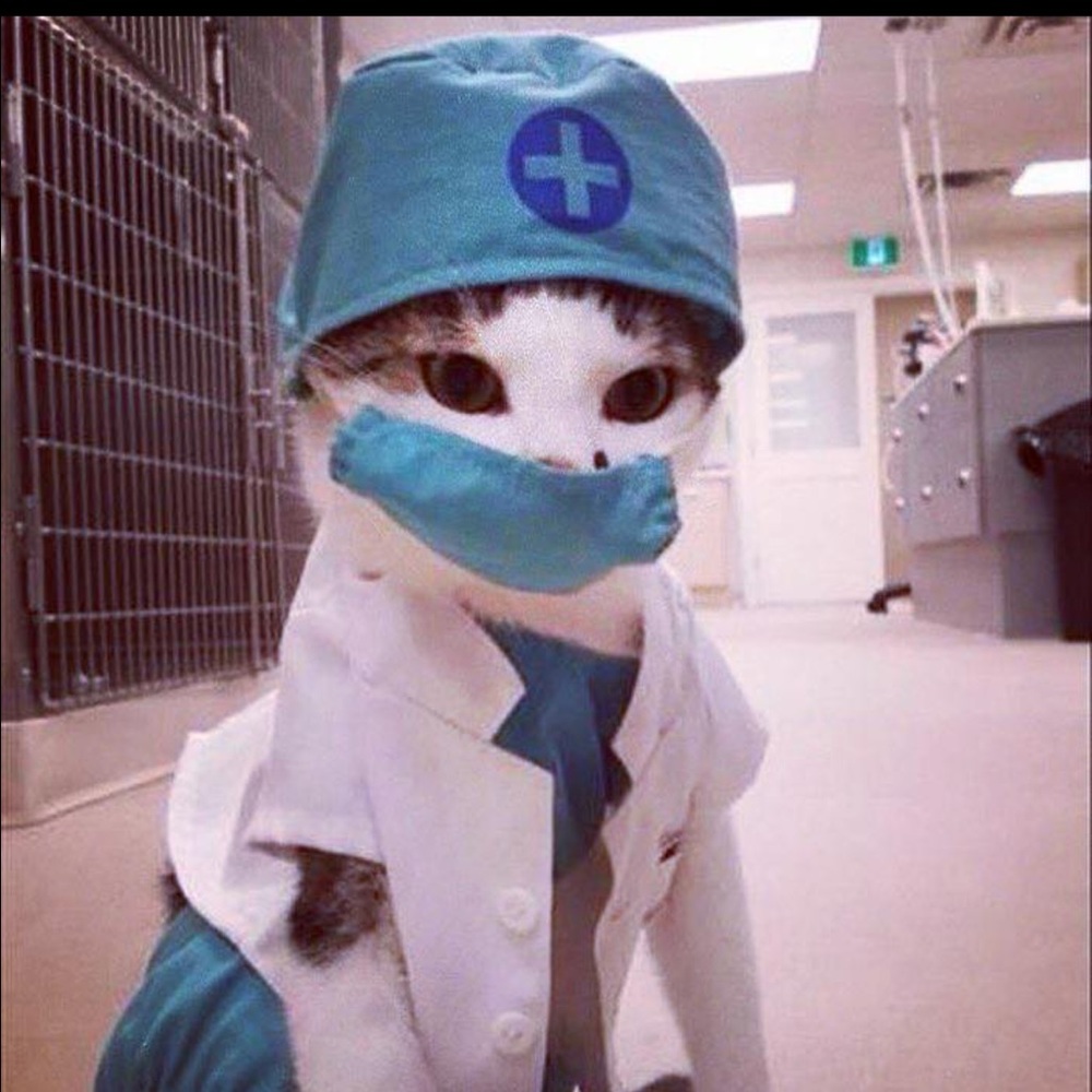 Meet your Posher, Caren