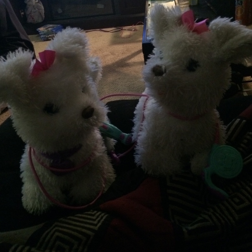 2 Walking puppies!!