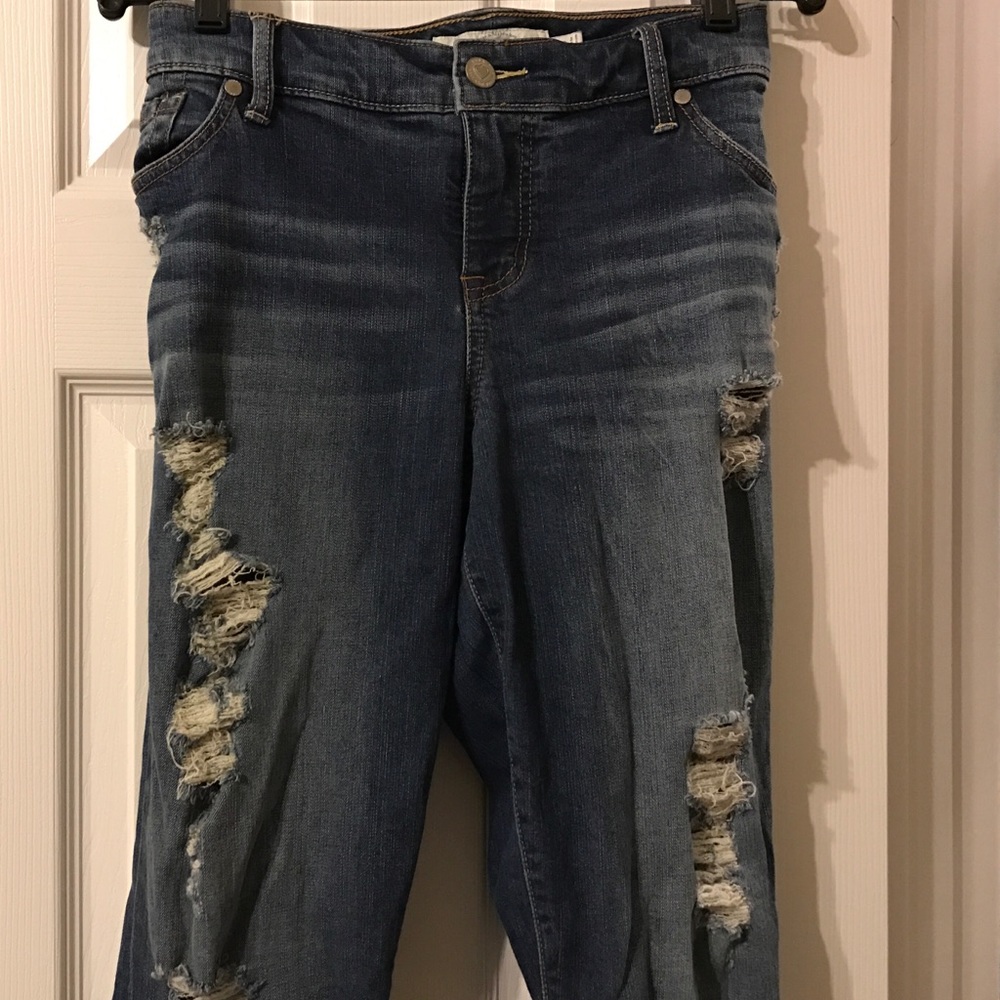 Torrid Jeans
