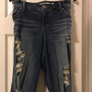 Torrid Jeans