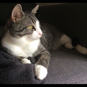 Meet your Posher, Yen