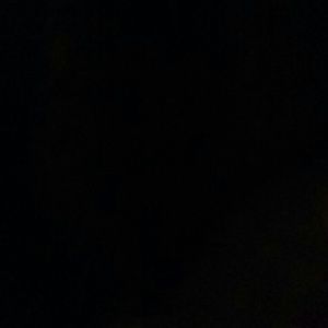 Meet your Posher, Patti