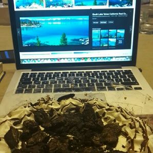 Meet your Posher, Mehreen