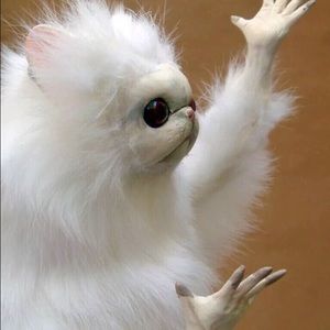 Meet your Posher, Bryn