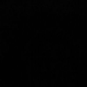 Meet your Posher, Dwanda