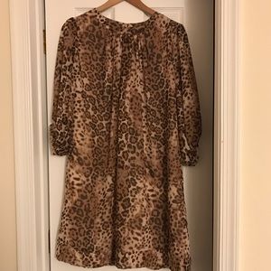 New York & Company Eva Mendes Leopard Print Dress