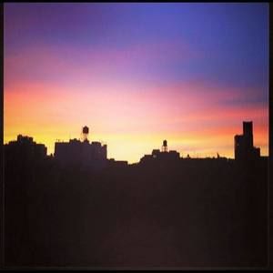 Meet your Posher, Holly