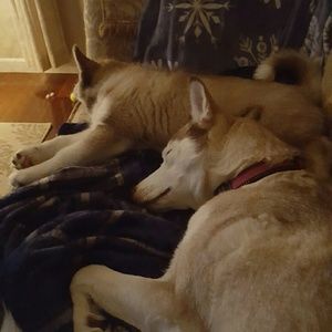 Meet your Posher, Tim