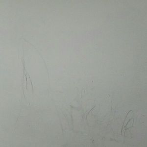 Meet your Posher, Darshan