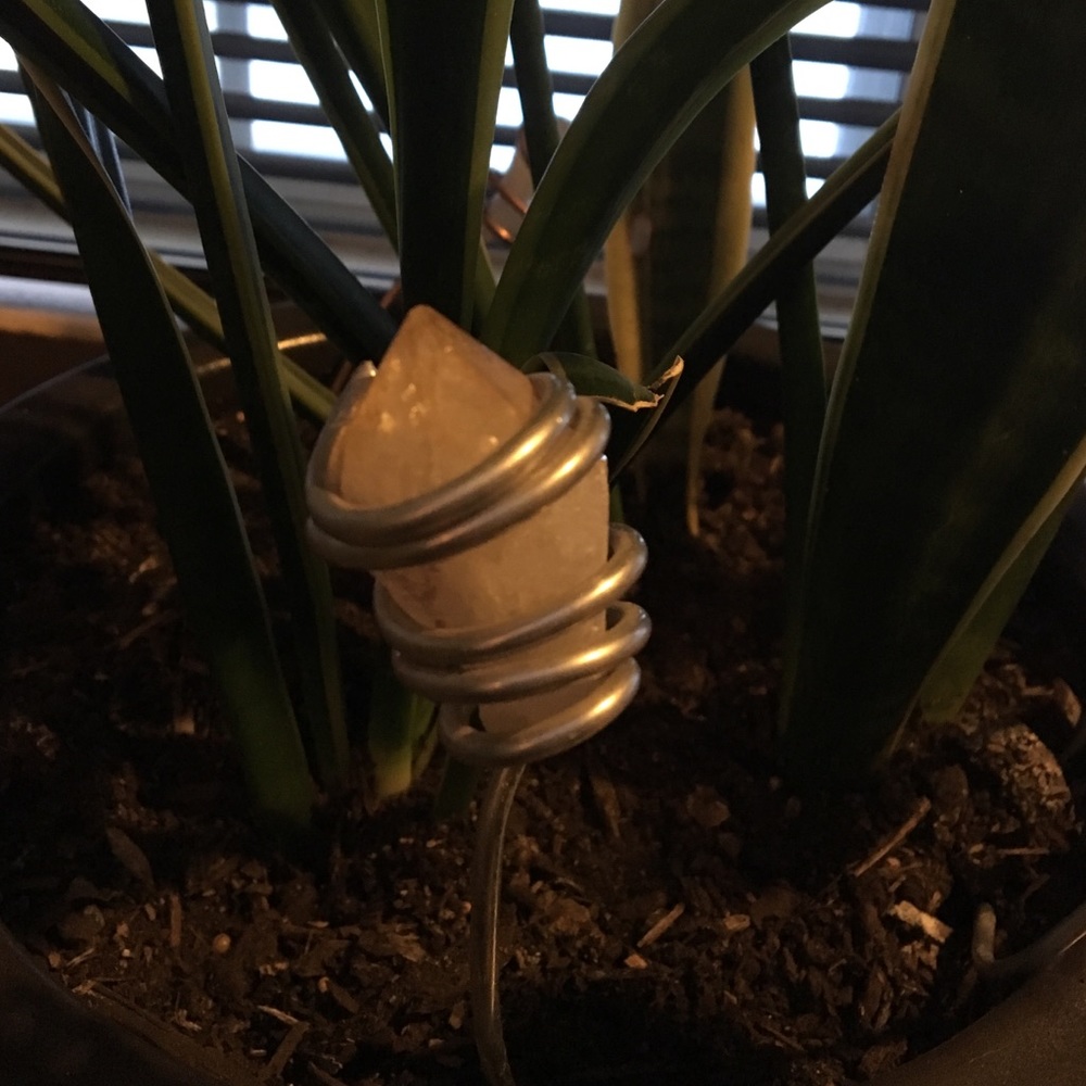 Citrine Quartz Plant Charm
