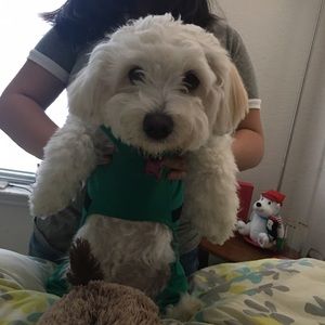 Meet your Posher, Jolina