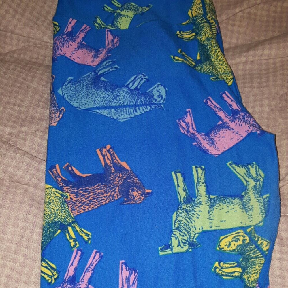 Lularoe leggings