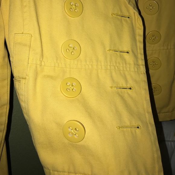 Yellow jacket - Picture 2 of 3