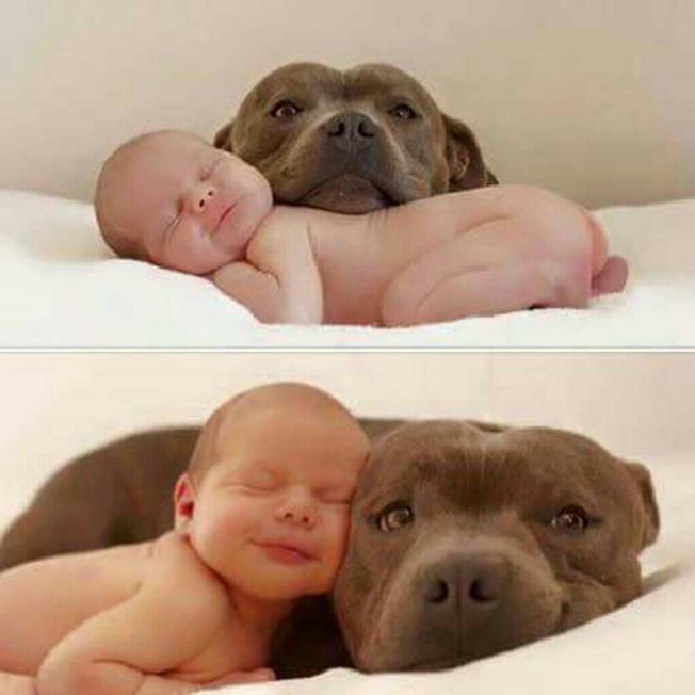 Baby and doggy love! Priceless!????????