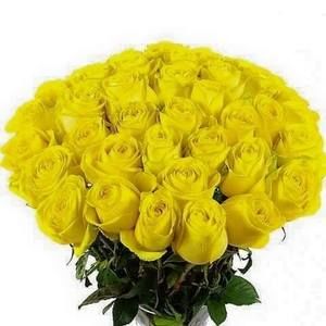 Meet your Posher, Tia