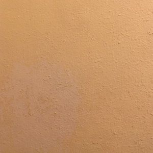 Meet your Posher, Latoya