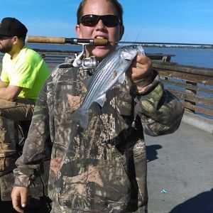 Meet your Posher, Timmy