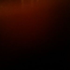 Meet your Posher, Garrett