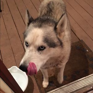 Meet your Posher, Joice