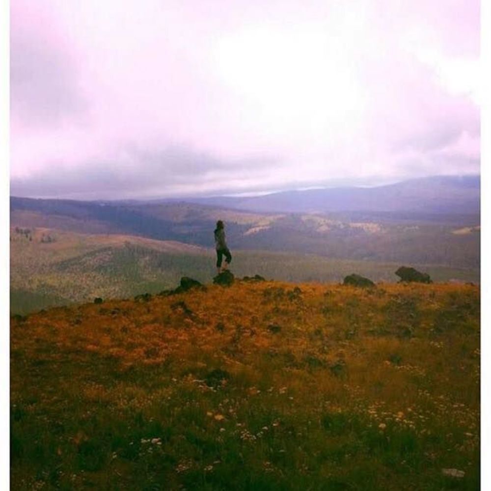 Meet your Posher, Allerie