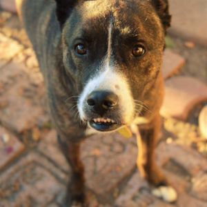 Meet your Posher, Aaron