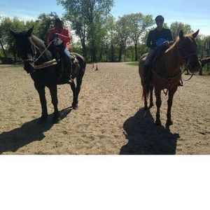 Meet your Posher, Katherine