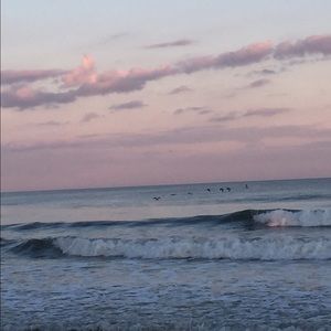 Meet your Posher, Jocelyn