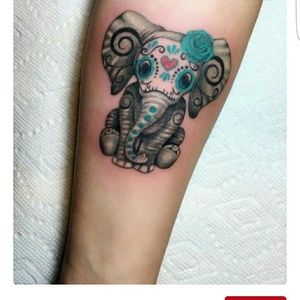 Meet your Posher, Andreina