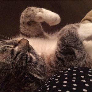 Meet your Posher, Selena