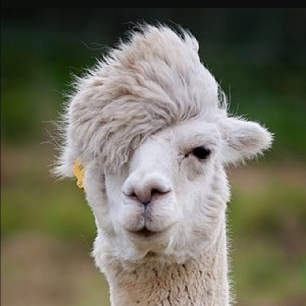 Meet your Posher, Katrina