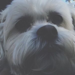 Meet your Posher, Jane