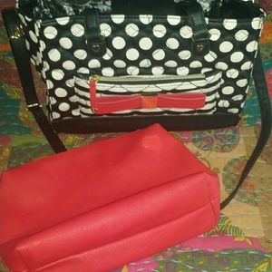 Betsey Johnson bag in a bag