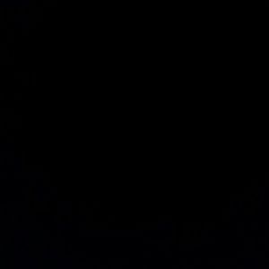 Meet your Posher, Kareema