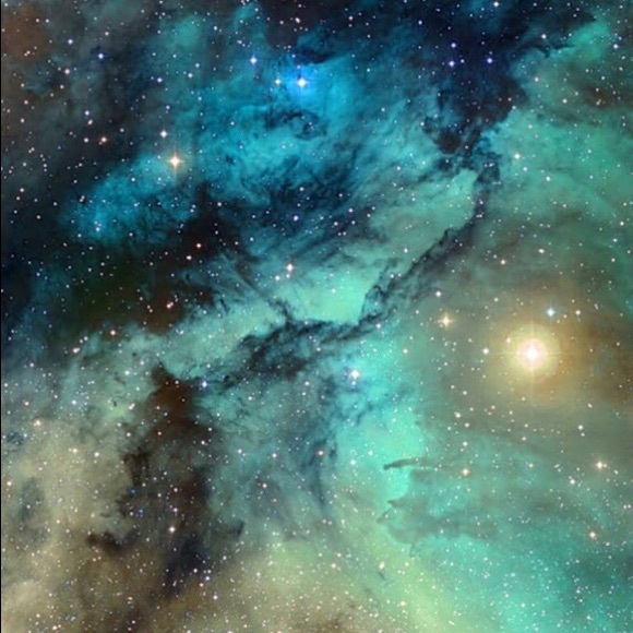 Meet your Posher, Brayley - Picture 1 of 1