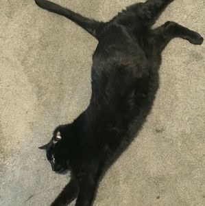 Meet your Posher, Julia