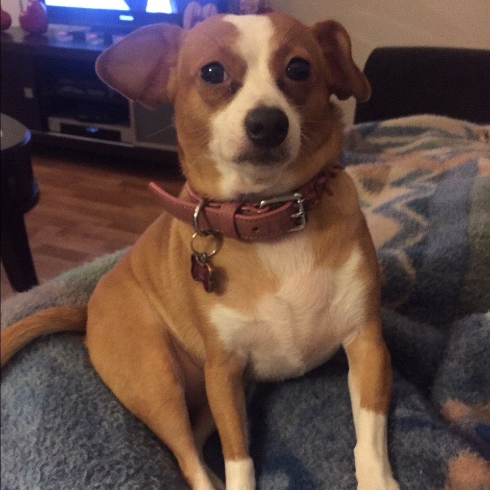 Meet your Posher, Alma