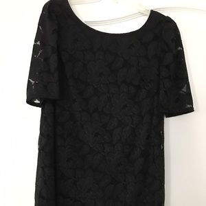 Francesca's lace dress