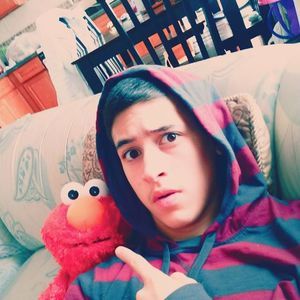 Meet your Posher, Diego