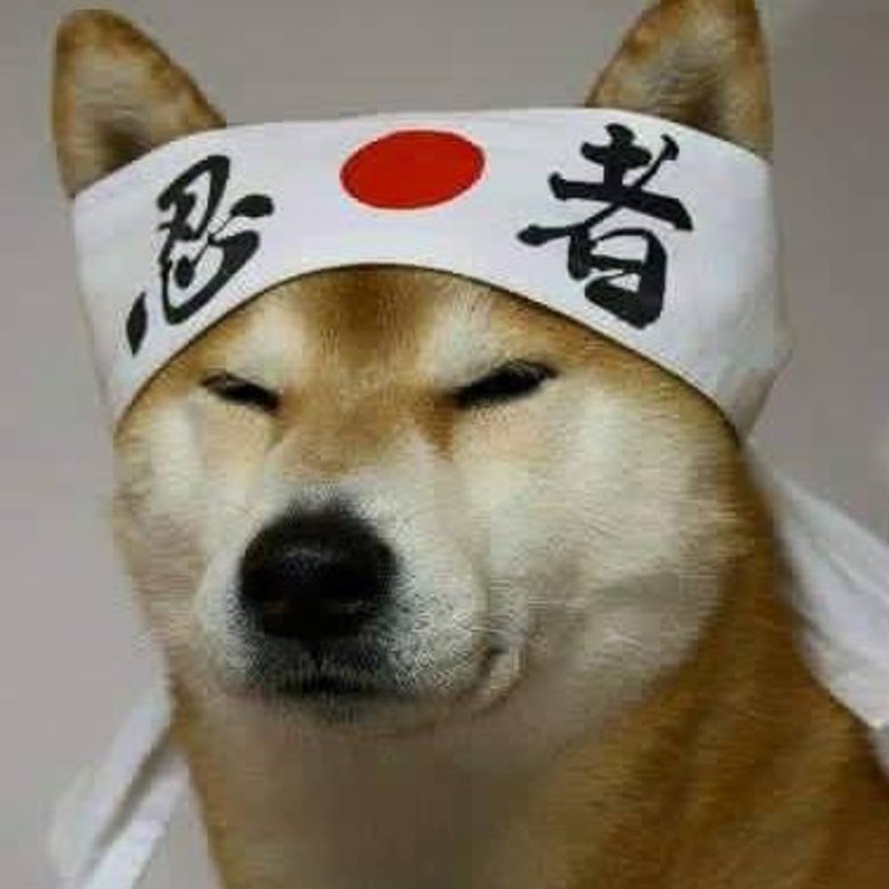 Meet your Posher, Brenda